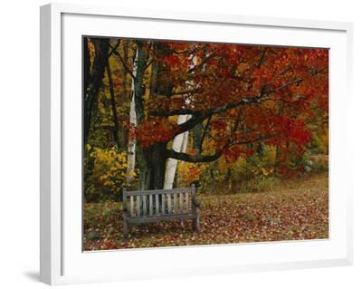 'Empty Bench under Maple Tree, Twin Ponds Farm, West River Valley ...