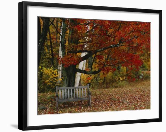 Empty Bench under Maple Tree, Twin Ponds Farm, West River Valley, Vermont, USA-Scott T^ Smith-Framed Photographic Print