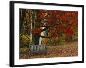 Empty Bench under Maple Tree, Twin Ponds Farm, West River Valley, Vermont, USA-Scott T^ Smith-Framed Photographic Print