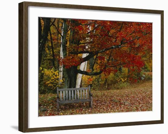 Empty Bench under Maple Tree, Twin Ponds Farm, West River Valley, Vermont, USA-Scott T^ Smith-Framed Photographic Print