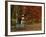 Empty Bench under Maple Tree, Twin Ponds Farm, West River Valley, Vermont, USA-Scott T^ Smith-Framed Photographic Print