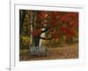 Empty Bench under Maple Tree, Twin Ponds Farm, West River Valley, Vermont, USA-Scott T^ Smith-Framed Photographic Print