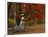 Empty Bench under Maple Tree, Twin Ponds Farm, West River Valley, Vermont, USA-Scott T^ Smith-Framed Photographic Print