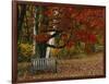 Empty Bench under Maple Tree, Twin Ponds Farm, West River Valley, Vermont, USA-Scott T^ Smith-Framed Photographic Print