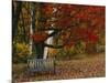 Empty Bench under Maple Tree, Twin Ponds Farm, West River Valley, Vermont, USA-Scott T^ Smith-Mounted Photographic Print
