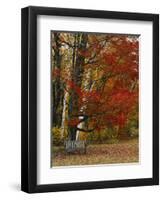 Empty Bench under Maple Tree, Twin Ponds Farm, West River Valley, Vermont, USA-Scott T^ Smith-Framed Photographic Print