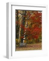 Empty Bench under Maple Tree, Twin Ponds Farm, West River Valley, Vermont, USA-Scott T^ Smith-Framed Photographic Print