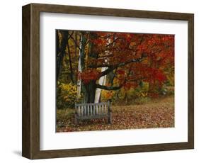 Empty Bench under Maple Tree, Twin Ponds Farm, West River Valley, Vermont, USA-Scott T^ Smith-Framed Photographic Print