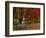 Empty Bench under Maple Tree, Twin Ponds Farm, West River Valley, Vermont, USA-Scott T^ Smith-Framed Photographic Print