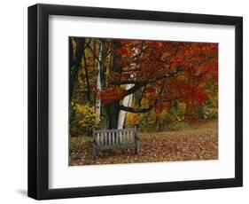 Empty Bench under Maple Tree, Twin Ponds Farm, West River Valley, Vermont, USA-Scott T^ Smith-Framed Photographic Print