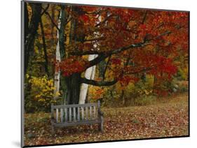 Empty Bench under Maple Tree, Twin Ponds Farm, West River Valley, Vermont, USA-Scott T^ Smith-Mounted Photographic Print