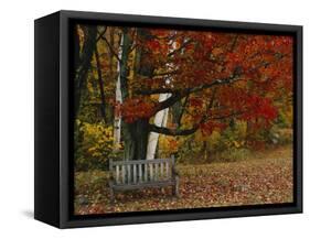 Empty Bench under Maple Tree, Twin Ponds Farm, West River Valley, Vermont, USA-Scott T^ Smith-Framed Stretched Canvas