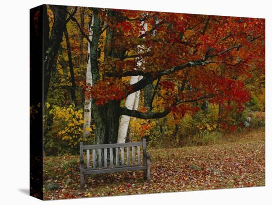 Empty Bench under Maple Tree, Twin Ponds Farm, West River Valley, Vermont, USA-Scott T^ Smith-Stretched Canvas