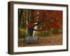 Empty Bench under Maple Tree, Twin Ponds Farm, West River Valley, Vermont, USA-Scott T^ Smith-Framed Premium Photographic Print