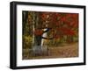 Empty Bench under Maple Tree, Twin Ponds Farm, West River Valley, Vermont, USA-Scott T^ Smith-Framed Premium Photographic Print