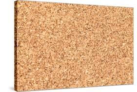 Empty Bulletin Board Background Texture, Natural Cork Board-Eugene Sergeev-Stretched Canvas