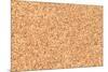 Empty Bulletin Board Background Texture, Natural Cork Board-Eugene Sergeev-Mounted Photographic Print