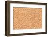 Empty Bulletin Board Background Texture, Natural Cork Board-Eugene Sergeev-Framed Photographic Print