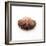 Empty Crab Shell-Clive Nolan-Framed Photographic Print