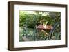 Empty garden chairs, Gothenburg, Sweden-Andrea Lang-Framed Photographic Print