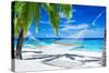 Empty Hammock between Palm Trees on Tropical Beach-Martin Valigursky-Stretched Canvas