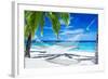 Empty Hammock between Palm Trees on Tropical Beach-Martin Valigursky-Framed Photographic Print