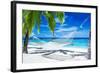 Empty Hammock between Palm Trees on Tropical Beach-Martin Valigursky-Framed Photographic Print