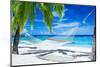 Empty Hammock between Palm Trees on Tropical Beach-Martin Valigursky-Mounted Photographic Print