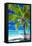 Empty Hammock under Palm Tree on Tropical Beach-Martin Valigursky-Framed Stretched Canvas