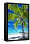 Empty Hammock under Palm Tree on Tropical Beach-Martin Valigursky-Framed Stretched Canvas