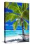 Empty Hammock under Palm Tree on Tropical Beach-Martin Valigursky-Stretched Canvas