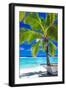 Empty Hammock under Palm Tree on Tropical Beach-Martin Valigursky-Framed Premium Photographic Print