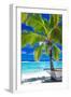 Empty Hammock under Palm Tree on Tropical Beach-Martin Valigursky-Framed Premium Photographic Print