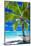 Empty Hammock under Palm Tree on Tropical Beach-Martin Valigursky-Mounted Photographic Print