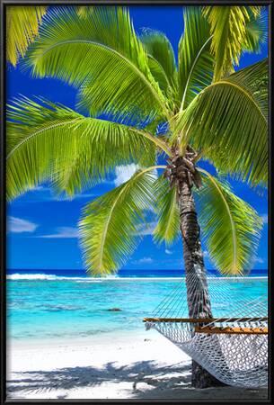 Empty Hammock Under Palm Tree On The Art Print Home Decor Wall Art Poster C