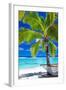 Empty Hammock under Palm Tree on Tropical Beach-Martin Valigursky-Framed Photographic Print