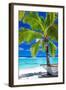 Empty Hammock under Palm Tree on Tropical Beach-Martin Valigursky-Framed Photographic Print