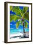 Empty Hammock under Palm Tree on Tropical Beach-Martin Valigursky-Framed Photographic Print