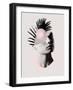 Empty Mind Final-Robert Farkas-Framed Giclee Print