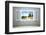 Empty New Room with Open Window-auris-Framed Photographic Print