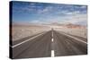 Empty Open Road, San Pedro De Atacama Desert, Chile, South America-Kimberly Walker-Stretched Canvas