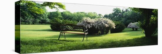 Empty Park Bench, Grand Rapids, Michigan, USA-null-Stretched Canvas