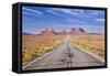 Empty Road, Highway 163, Monument Valley, Utah, United States of America, North America-Neale Clark-Framed Stretched Canvas