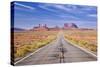 Empty Road, Highway 163, Monument Valley, Utah, United States of America, North America-Neale Clark-Stretched Canvas