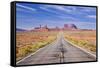 Empty Road, Highway 163, Monument Valley, Utah, United States of America, North America-Neale Clark-Framed Stretched Canvas