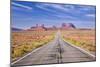 Empty Road, Highway 163, Monument Valley, Utah, United States of America, North America-Neale Clark-Mounted Photographic Print