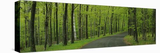 Empty Road Passing through a Forest, Peninsula State Park, Door County, Wisconsin, USA-null-Stretched Canvas