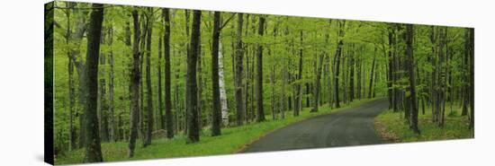 Empty Road Passing through a Forest, Peninsula State Park, Door County, Wisconsin, USA-null-Stretched Canvas