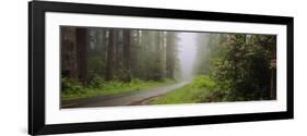 Empty Road Passing through a Forest, Redwood National Park, California, USA-null-Framed Photographic Print