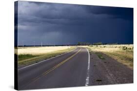 Empty Road, Patagonia, Argentina-Peter Groenendijk-Stretched Canvas